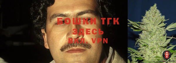 эйфоретик Новодвинск