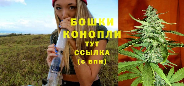 эйфоретик Новодвинск