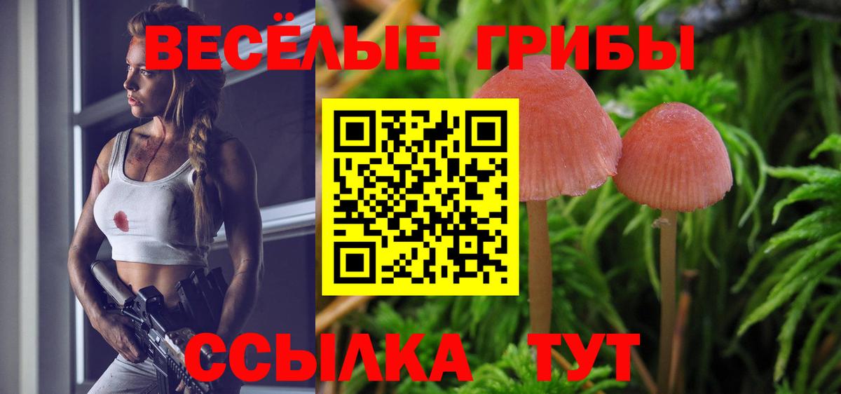 Псилоцибиновые грибы MAGIC MUSHROOMS Сорочинск