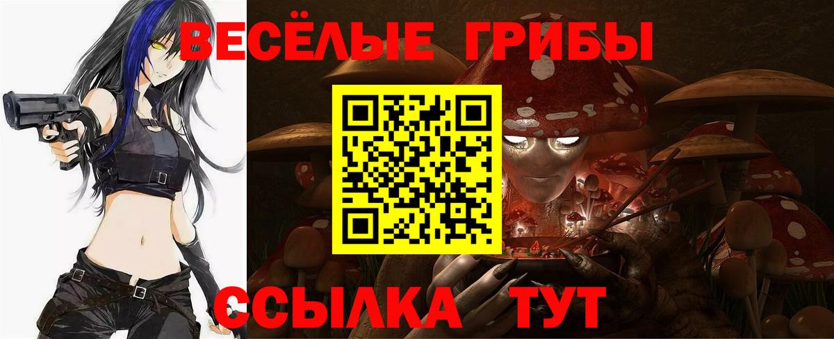 Сорочинск  Псилоцибиновые грибы Cubensis  Вход с VPN  магазин  наркотиков  Псилоцибиновые грибы мухоморы 